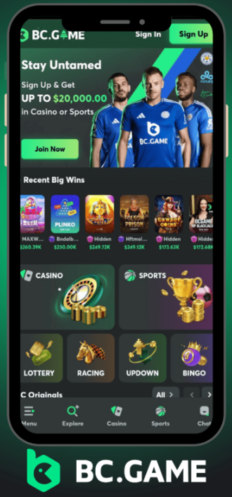 Exploring the World of Bc.Game Casino A Comprehensive Review